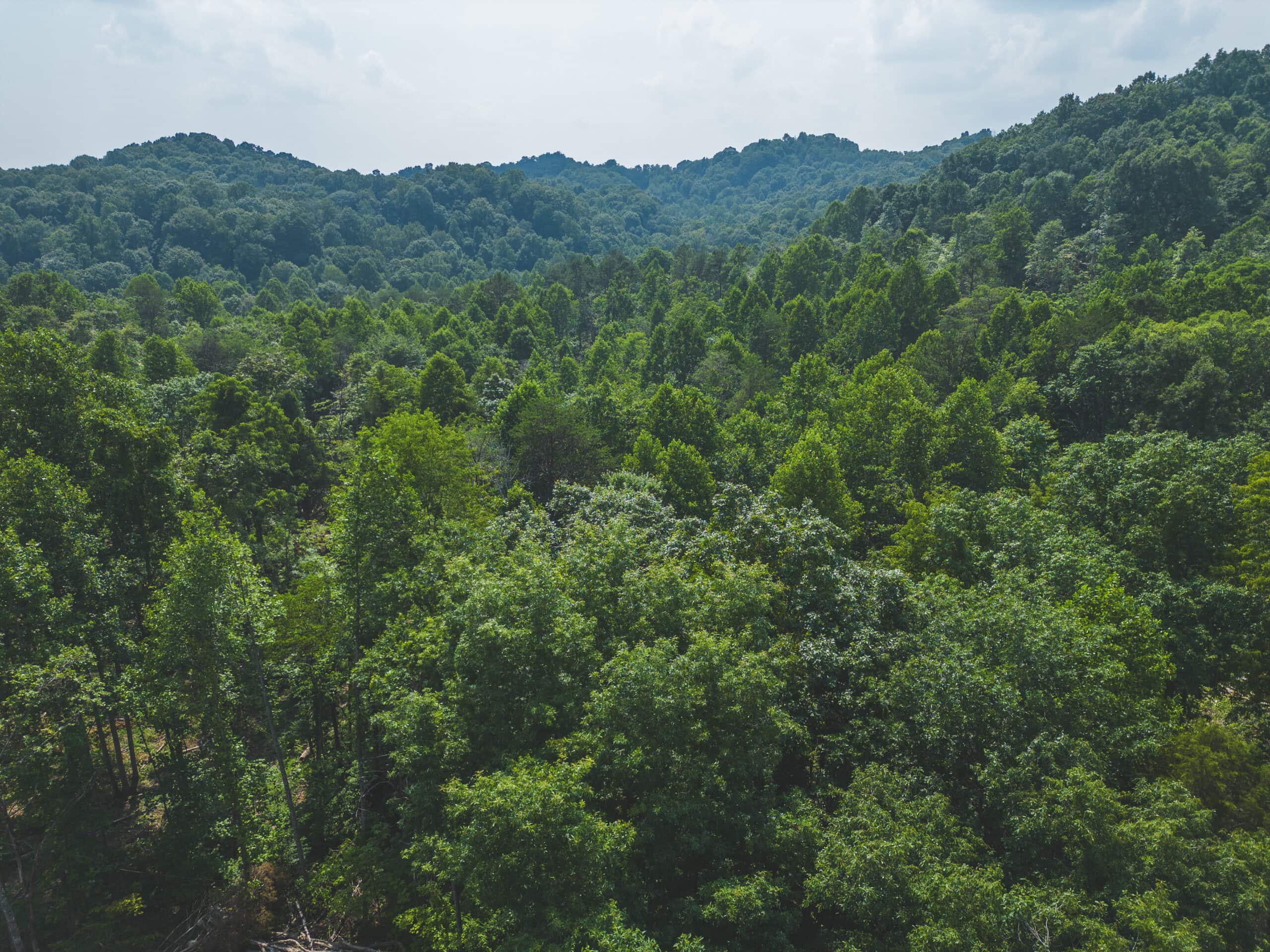 Unrestricted Land in the Church Hill Community, Hawkins County, East Tennessee