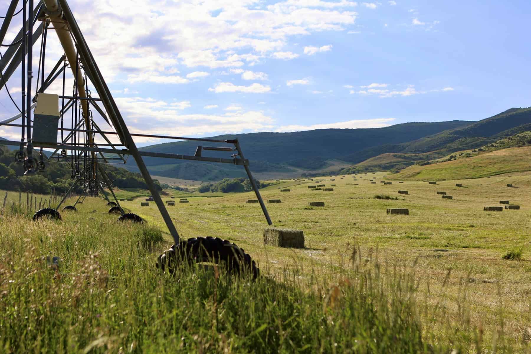 The Porter Ranch – Legendary Colorado Hunting Property