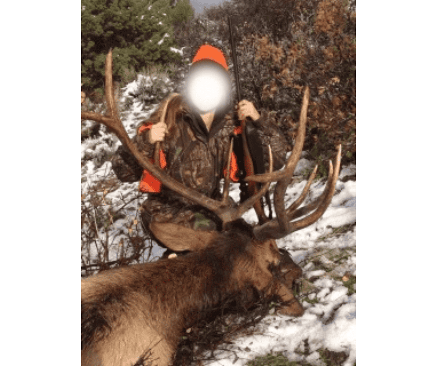 The Porter Ranch – Legendary Colorado Hunting Property