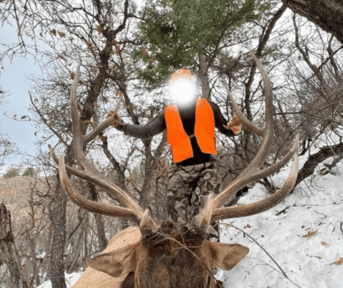 The Porter Ranch – Legendary Colorado Hunting Property