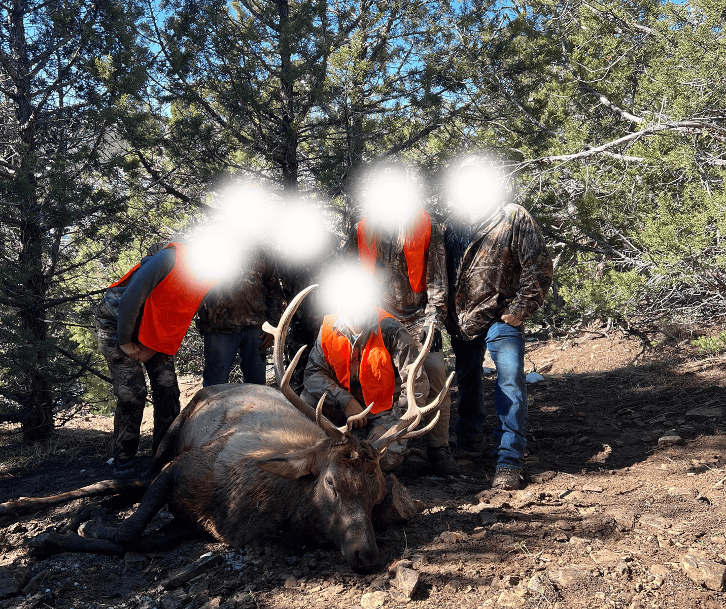 The Porter Ranch – Legendary Colorado Hunting Property