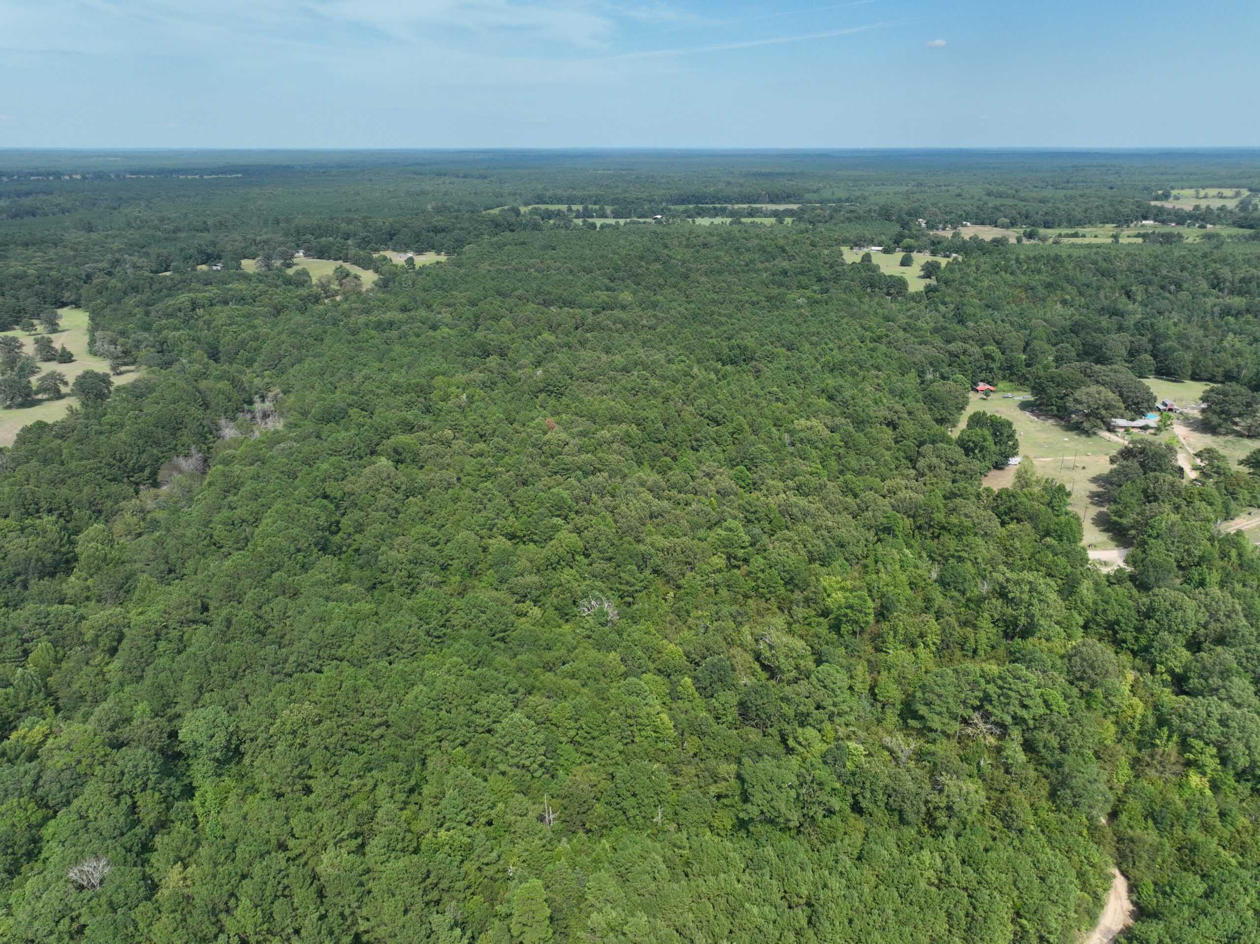 East Texas Secluded Timber Hunting Property
