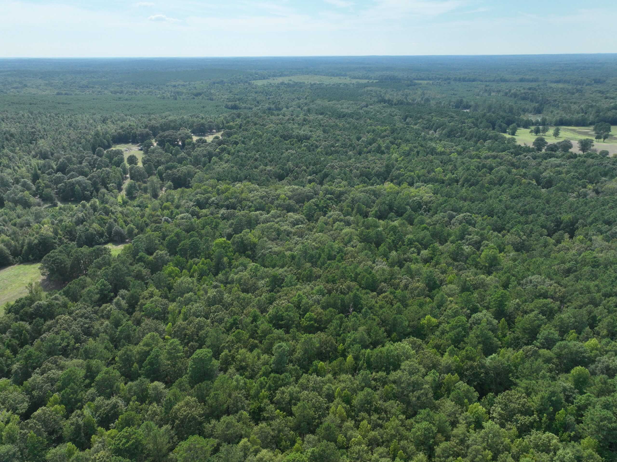 East Texas Secluded Timber Hunting Property
