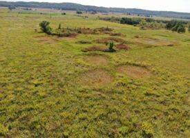 Juneau County WI 77 acres of developed WRP Land