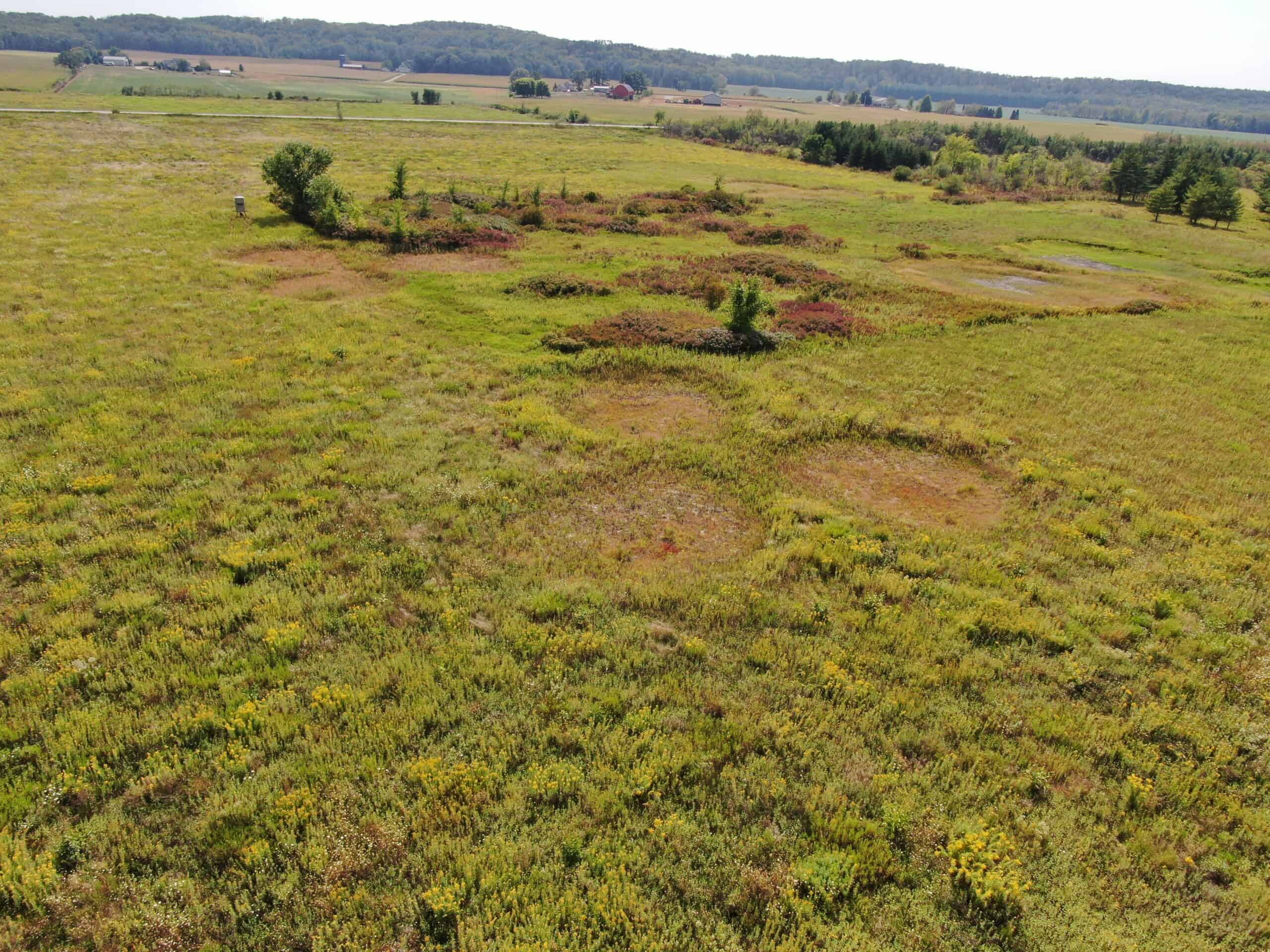 Juneau County WI 77 acres of developed WRP Land