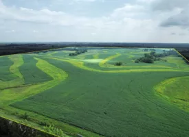 234+/- Acres Highly Tillable, Page County IA Row Crop and CRP Land
