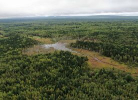 Off Grid Forest land for Sale in Maine