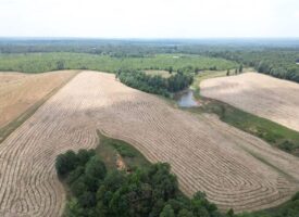 107 Acres Pastureland for Sale Southwest Mississippi