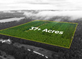 37 ACRES OF SECLUDED PARADISE MELROSE WI