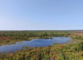 60 Acres of Pristine Maine Land