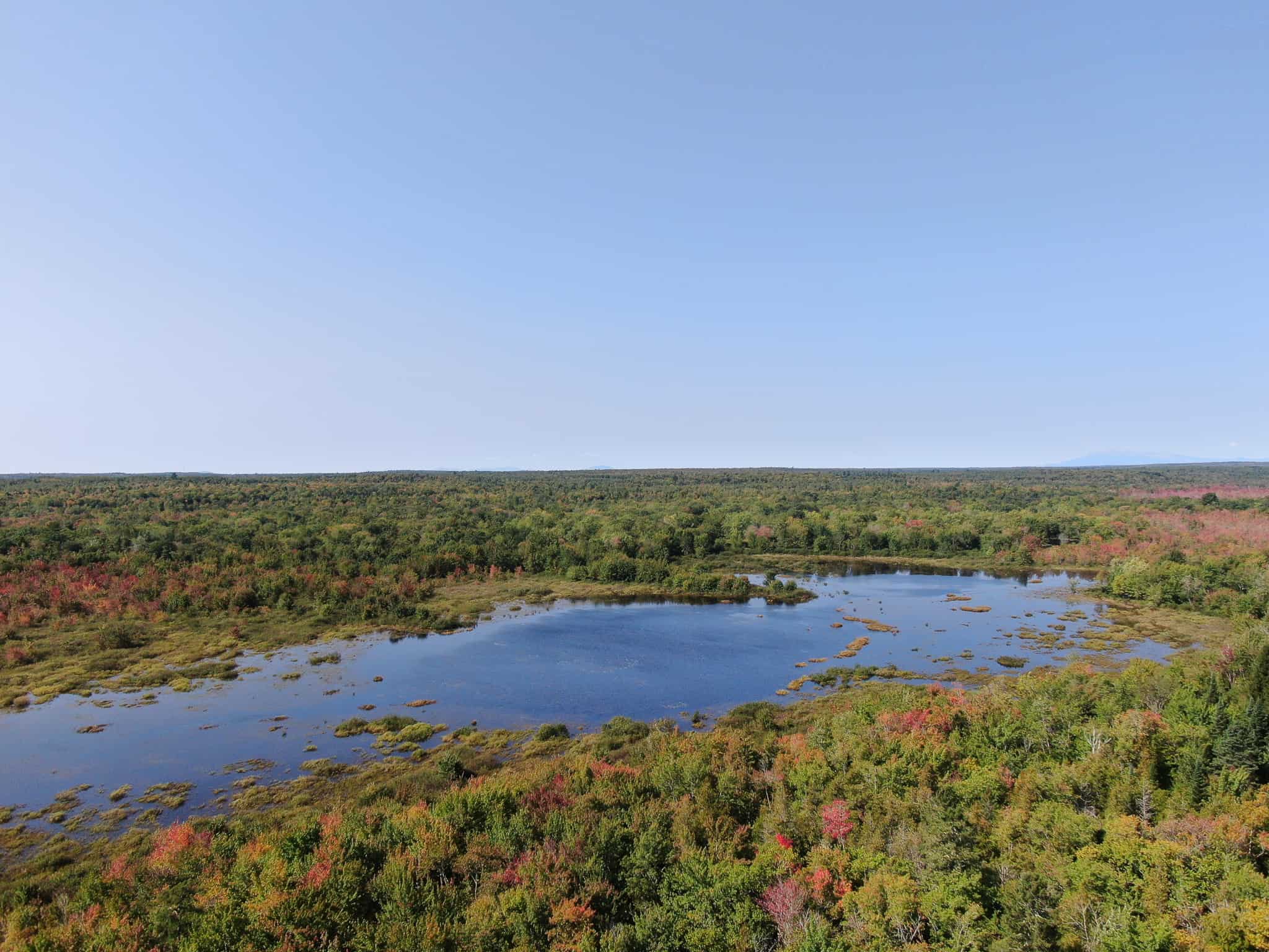 60 Acres of Pristine Maine Land