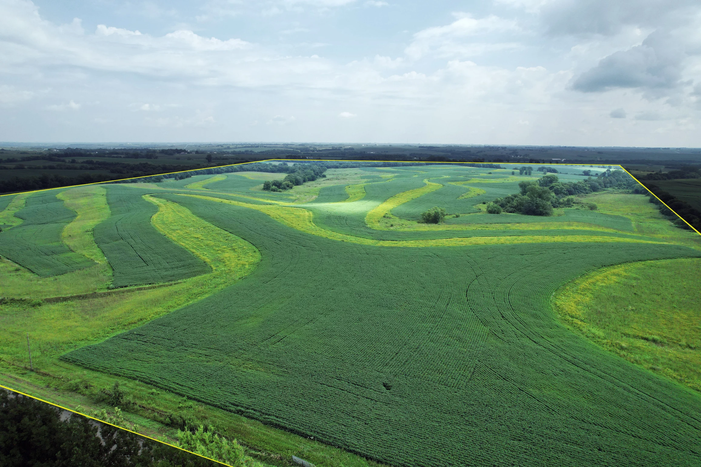 234+/- Acres Highly Tillable, Page County IA Row Crop and CRP Land