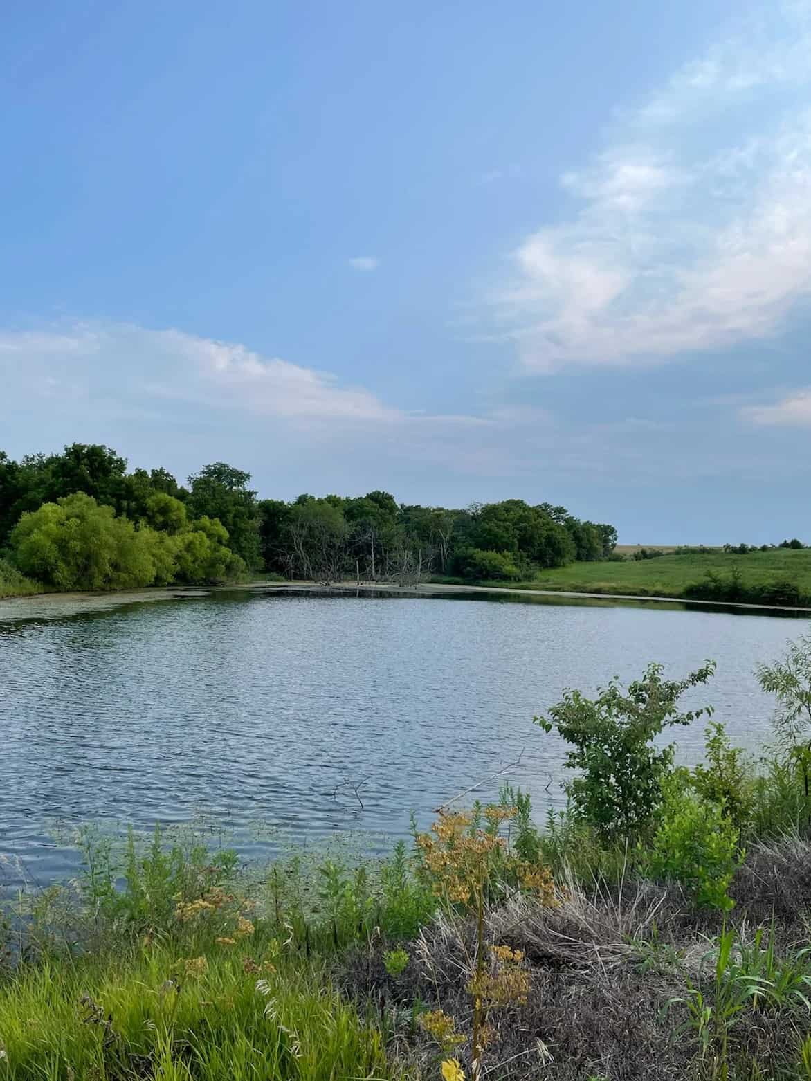 88+/- Acres Gentry County Missouri CRP/Timber/Pond Excellent Hunting