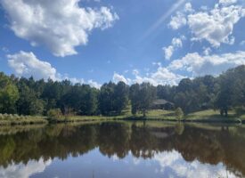 LAKEFRONT ESTATE FOR SALE IN TN, 198 AC, 2 PONDS, TIMBER, GREAT HUNTING