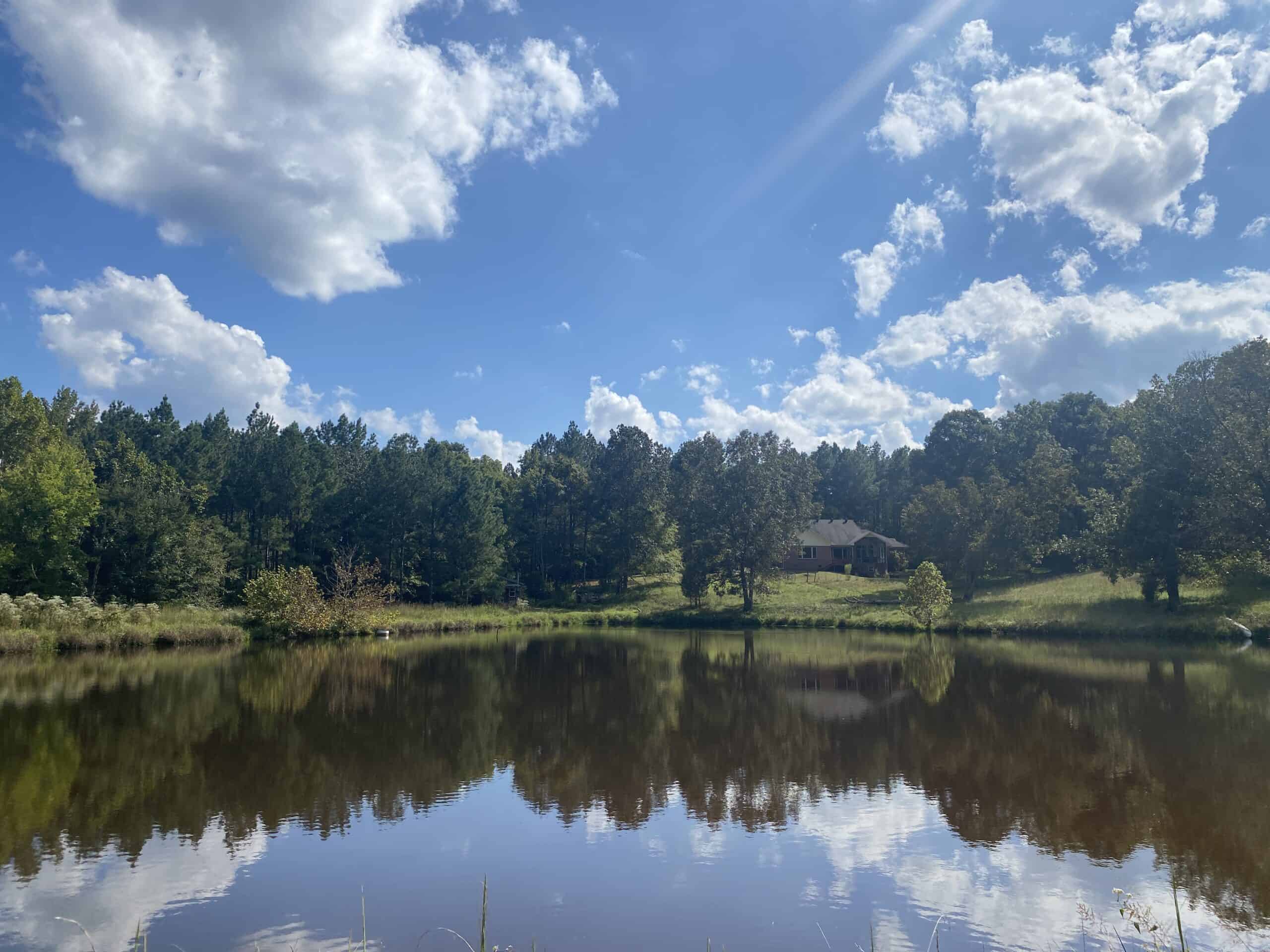 LAKEFRONT ESTATE FOR SALE IN TN, 198 AC, 2 PONDS, TIMBER, GREAT HUNTING