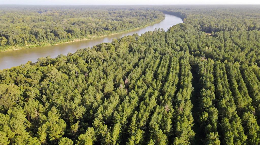 668 Acre Turnkey Hunting Property Sleeps 22 in West AL