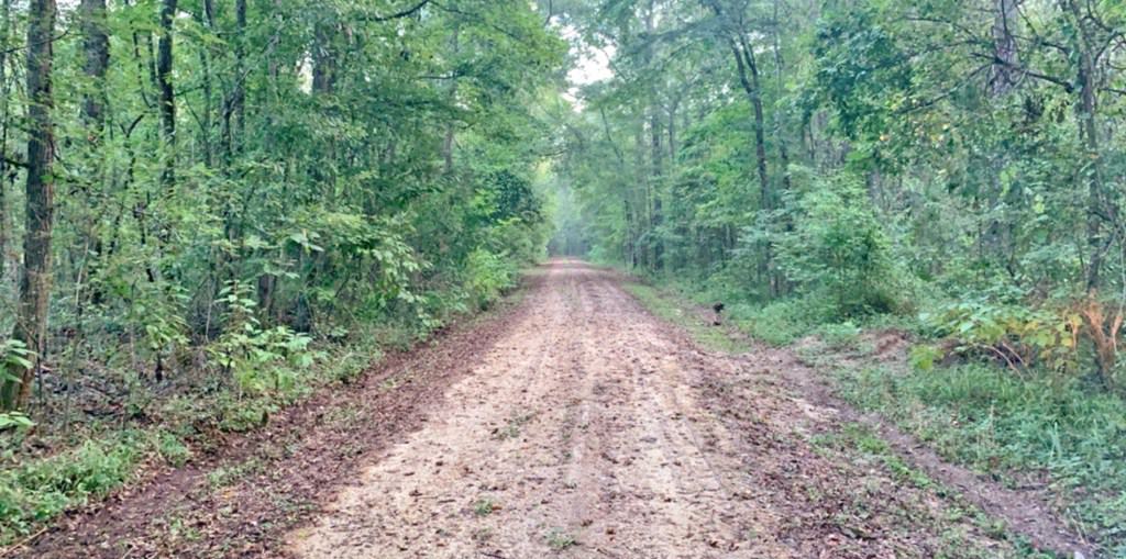 668 Acre Turnkey Hunting Property Sleeps 22 in West AL