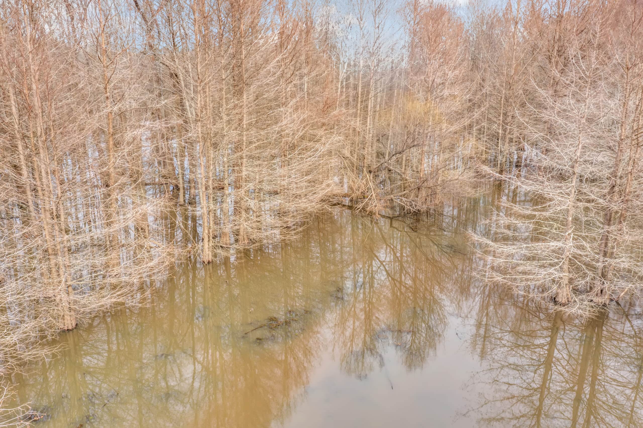 668 Acre Turnkey Hunting Property Sleeps 22 in West AL