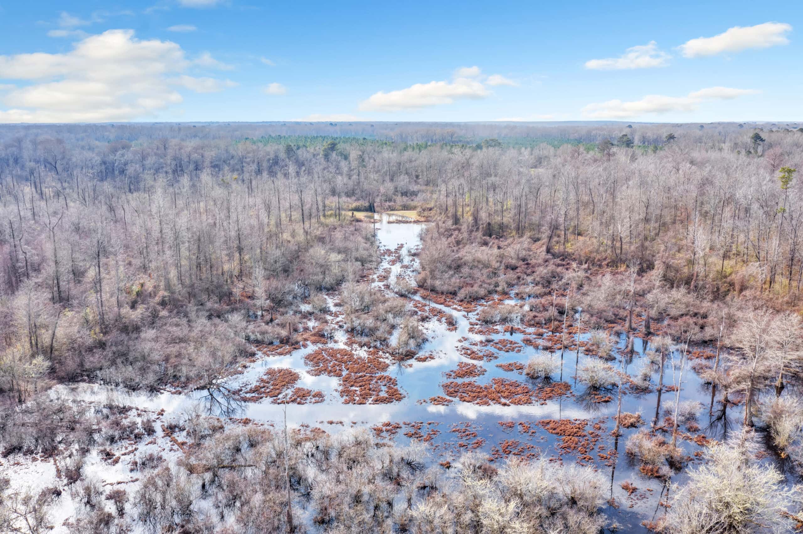 668 Acre Turnkey Hunting Property Sleeps 22 in West AL