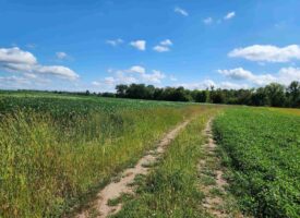 Acreage For Sale in Waupaca County