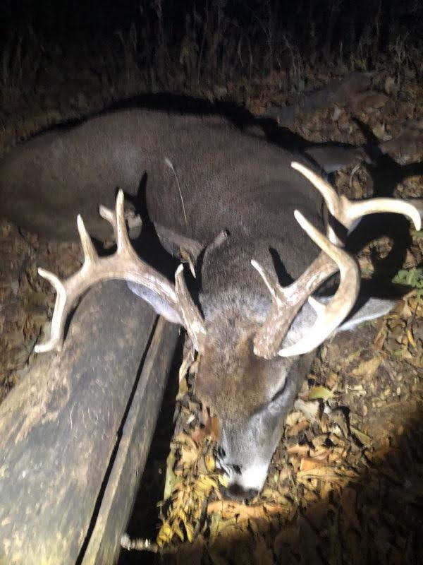 Elite Deer and Turkey Hunting Timber/Cedar Thickets/Water/Pasture