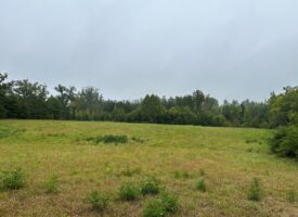 The Wildlife Refuge In Chase City, VA