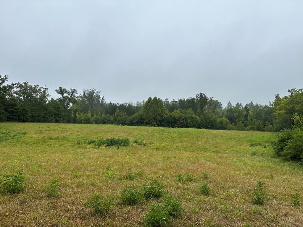 The Wildlife Refuge In Chase City, VA