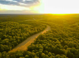 Land For Sale 199.38+/-