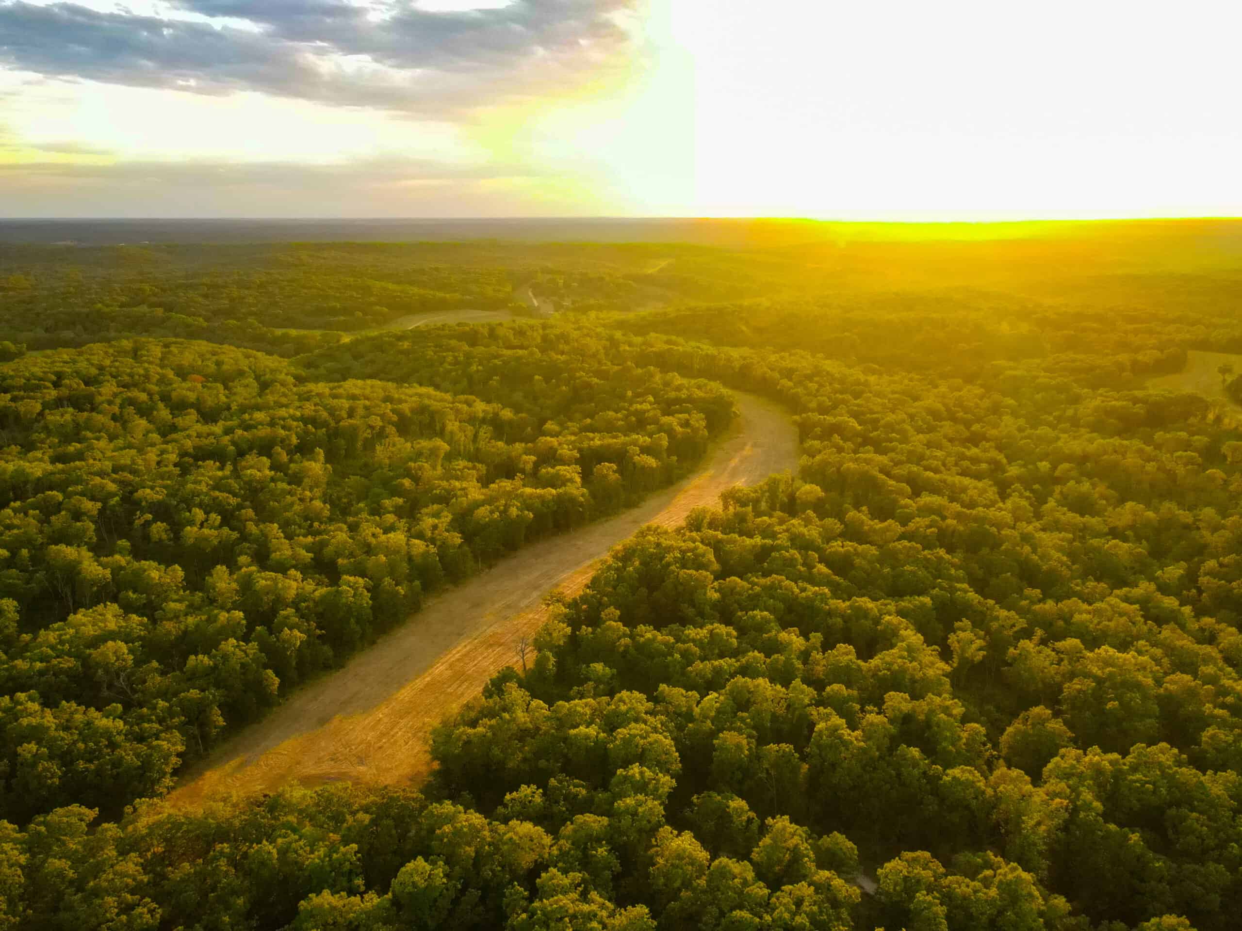Land For Sale 199.38+/-