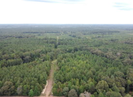 700 Acres Land for Sale Lincoln Parish, LA