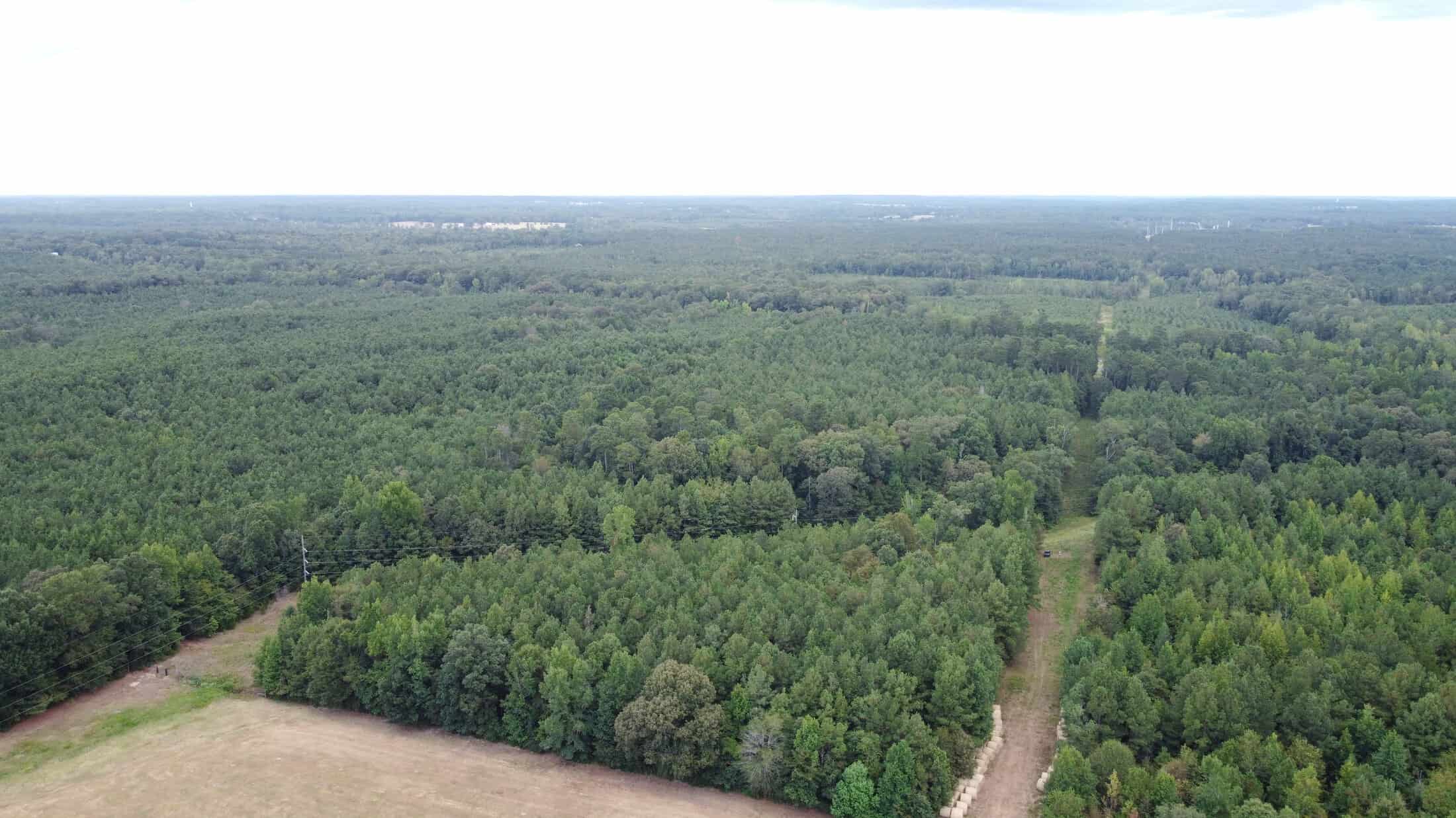 700 Acres Land for Sale Lincoln Parish, LA