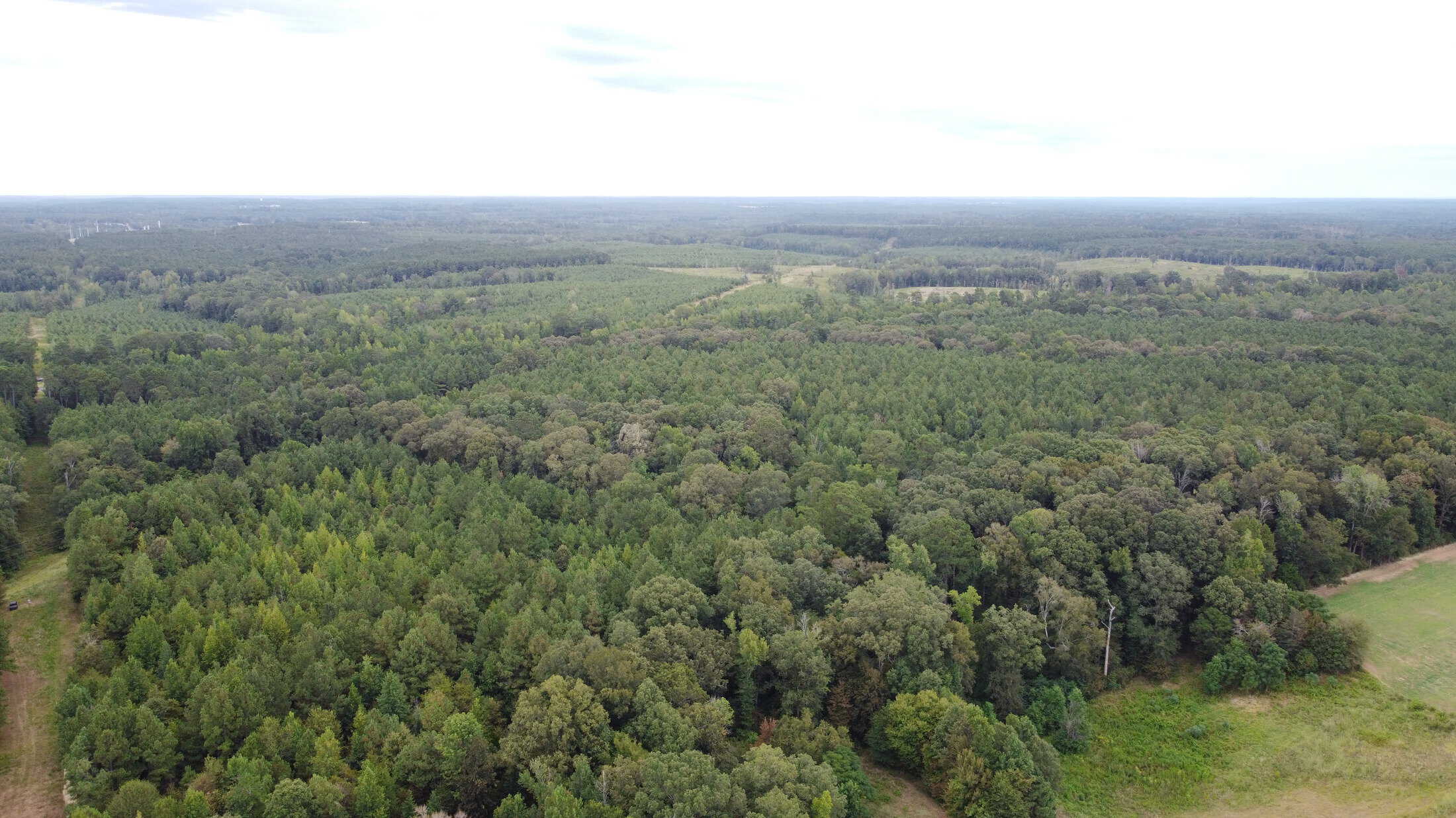 700 Acres Land for Sale Lincoln Parish, LA