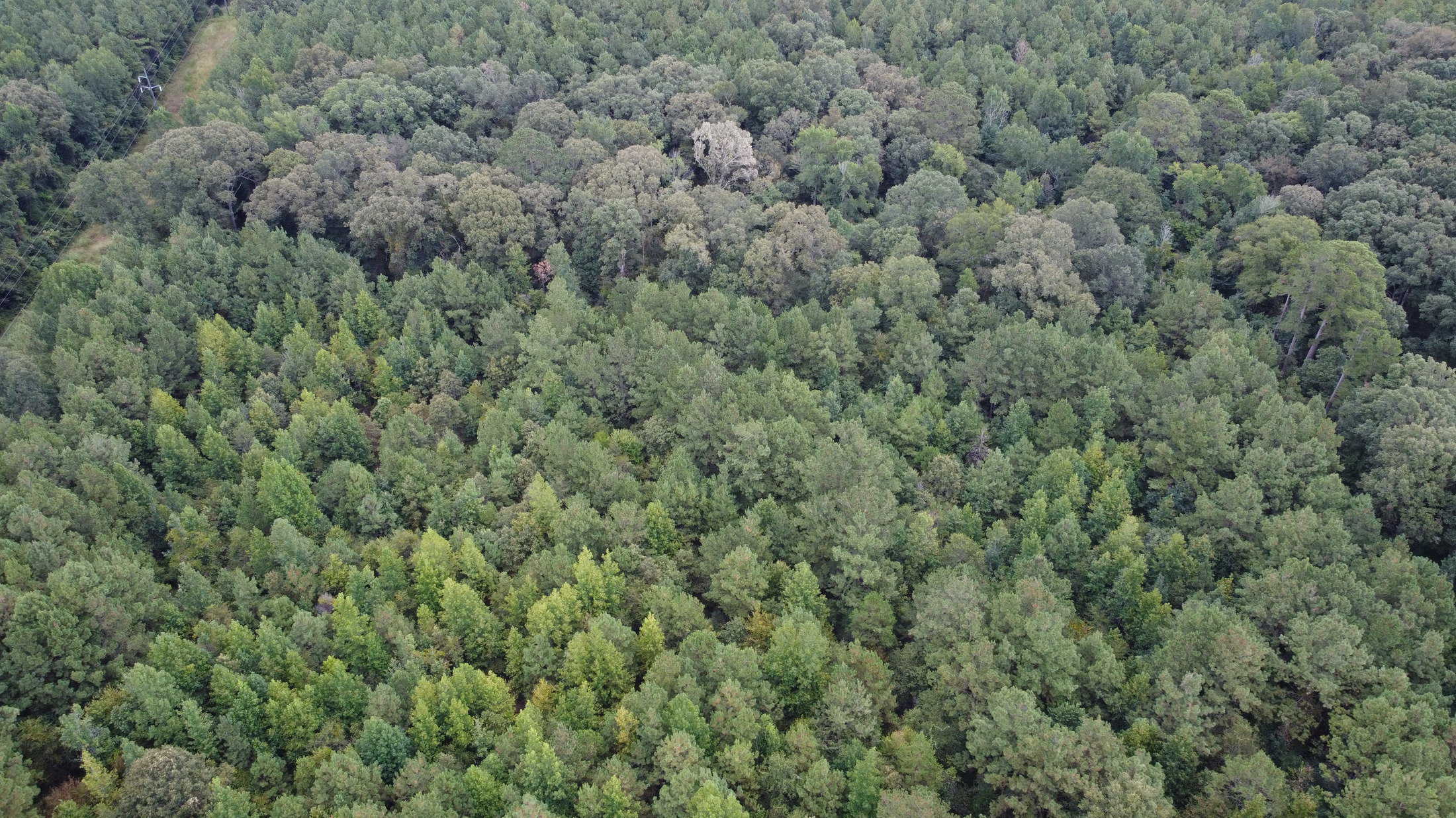 700 Acres Land for Sale Lincoln Parish, LA