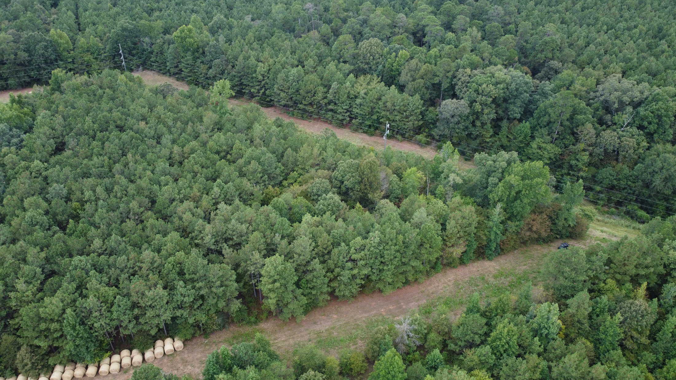 700 Acres Land for Sale Lincoln Parish, LA