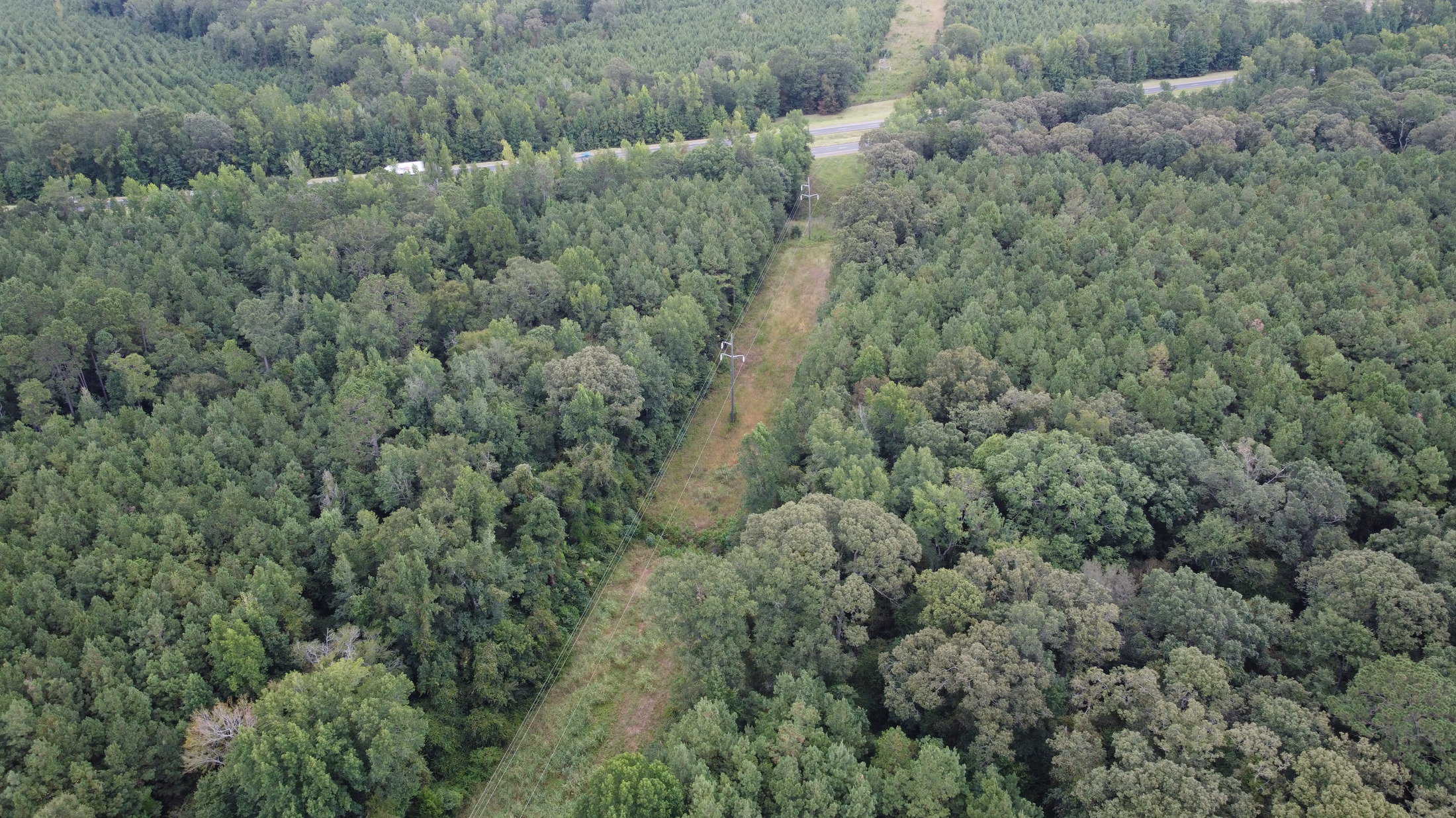 700 Acres Land for Sale Lincoln Parish, LA