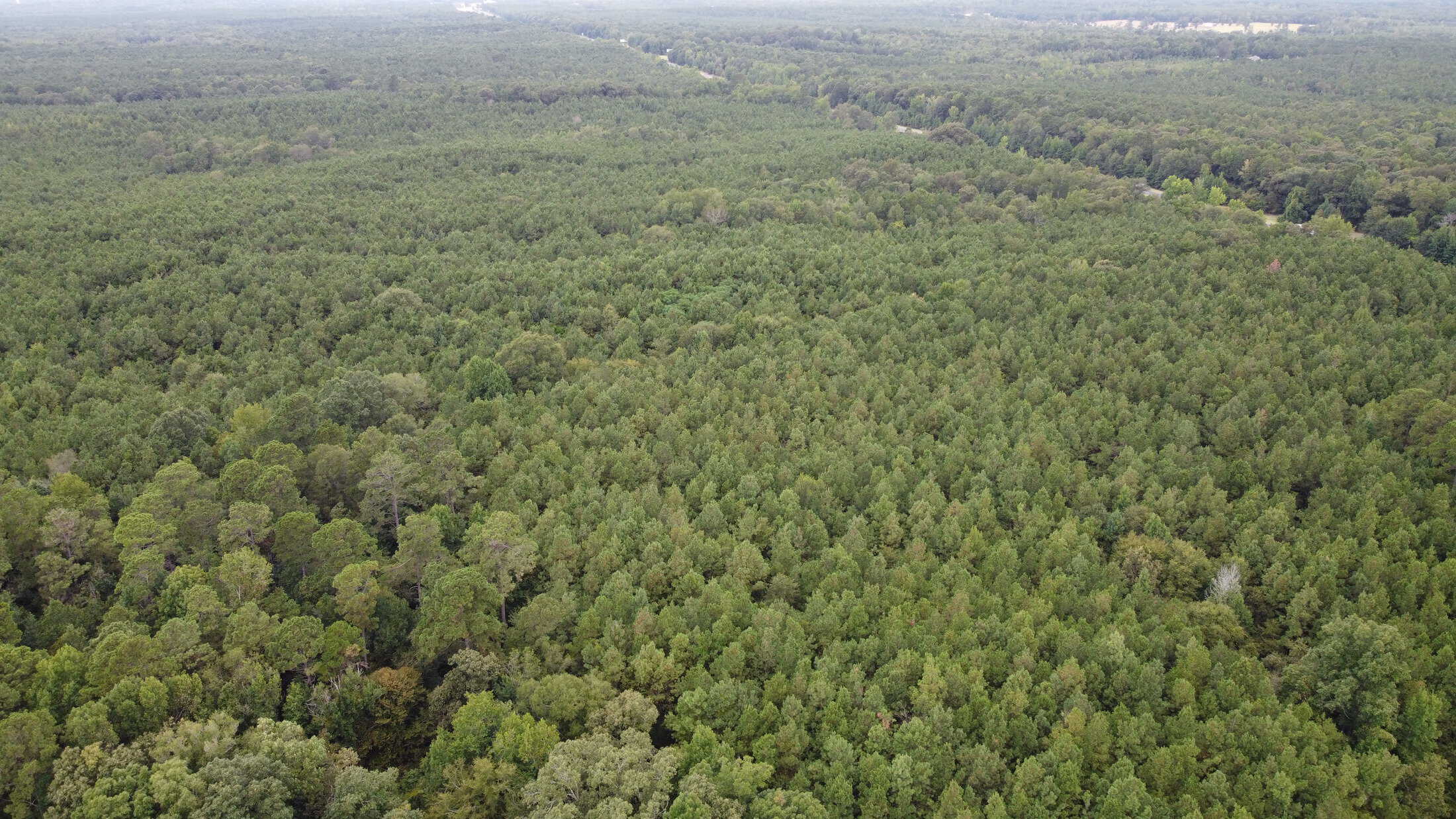 700 Acres Land for Sale Lincoln Parish, LA