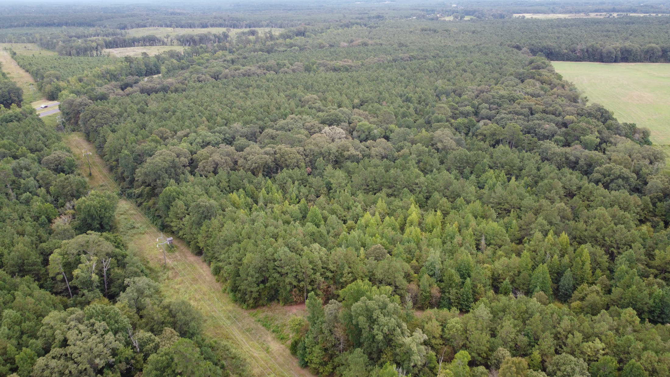 700 Acres Land for Sale Lincoln Parish, LA