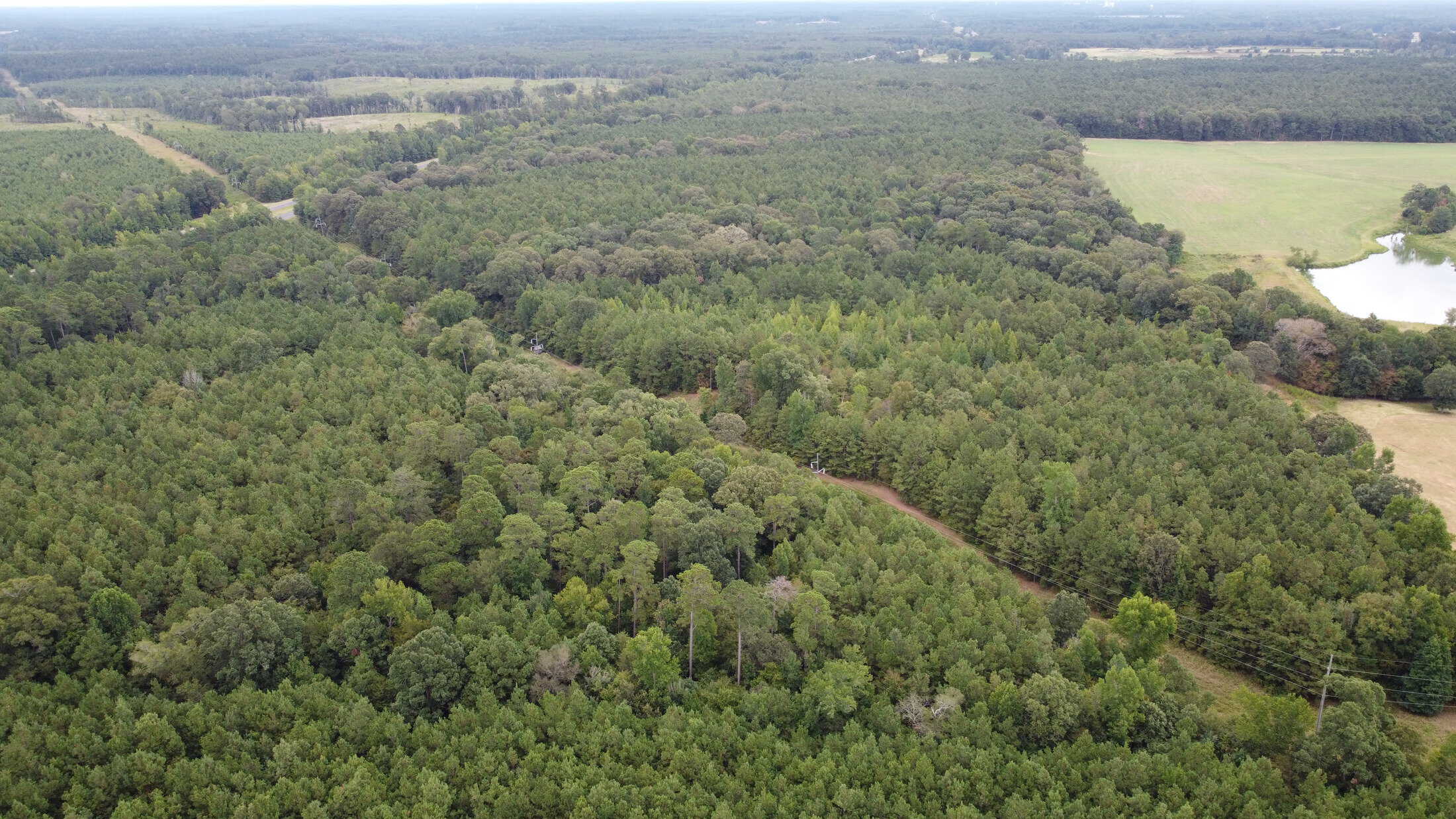 700 Acres Land for Sale Lincoln Parish, LA