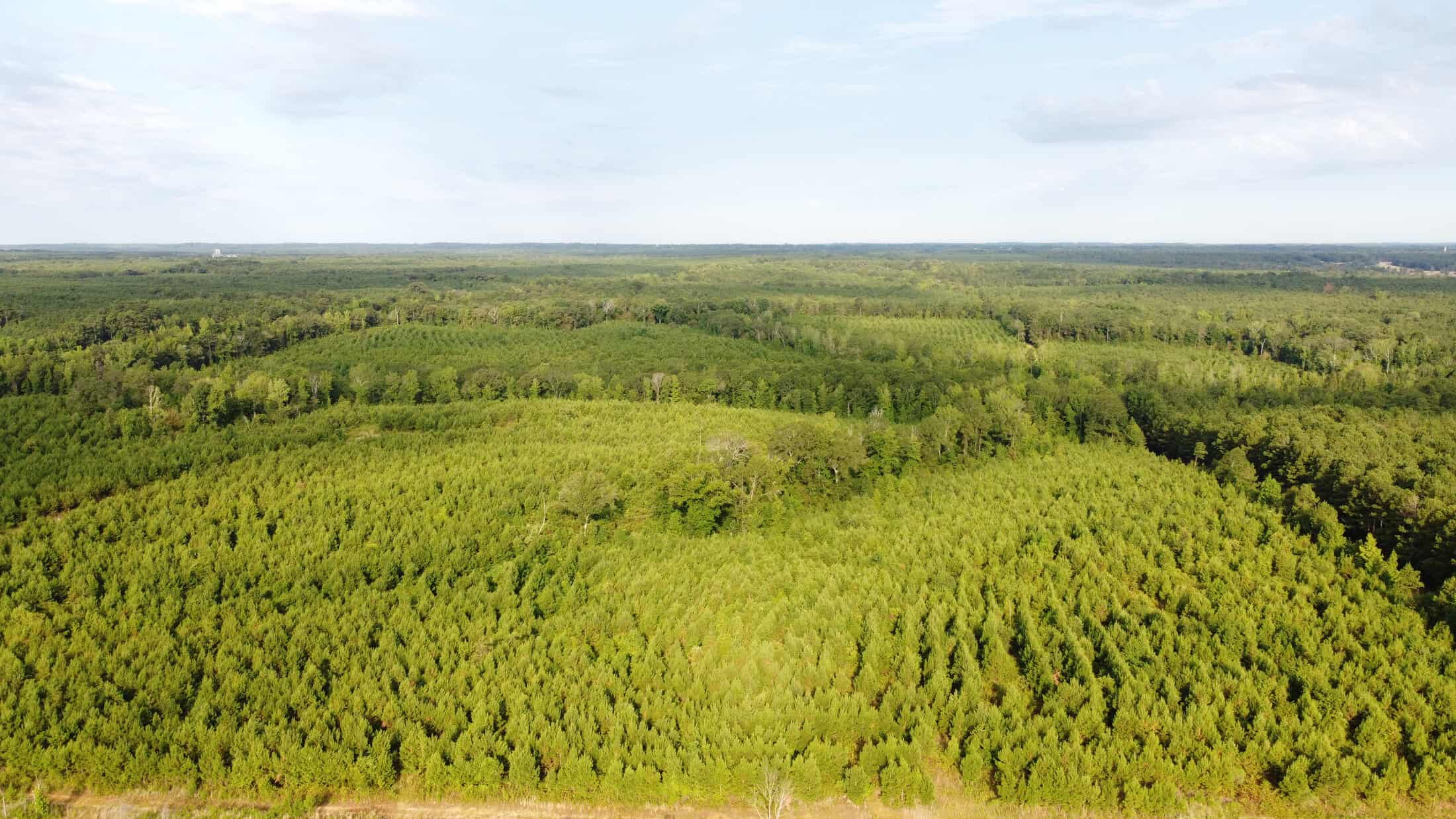 700 Acres Land for Sale Lincoln Parish, LA