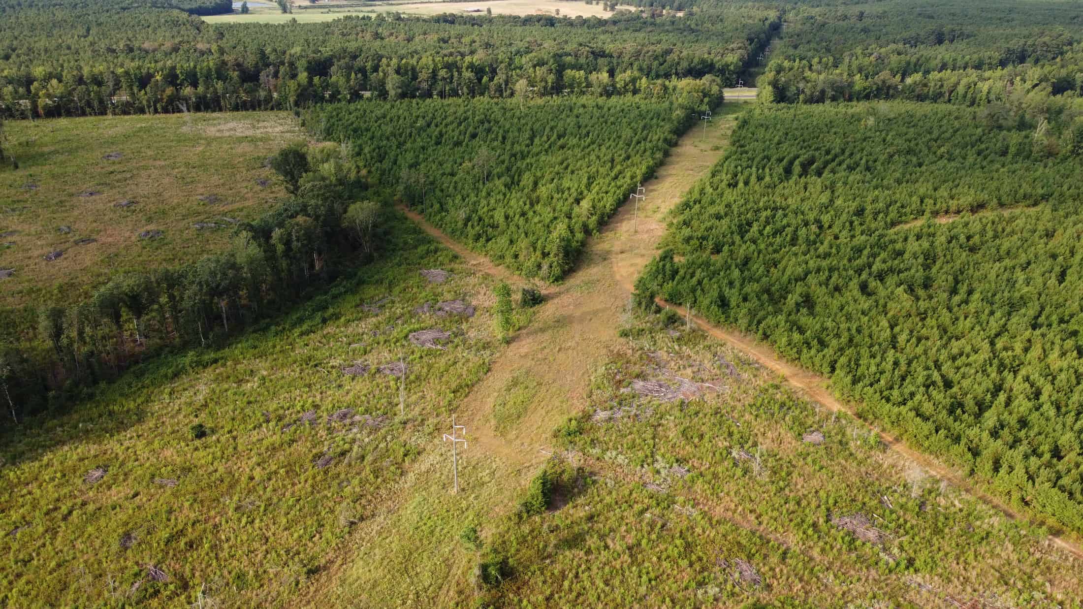 700 Acres Land for Sale Lincoln Parish, LA