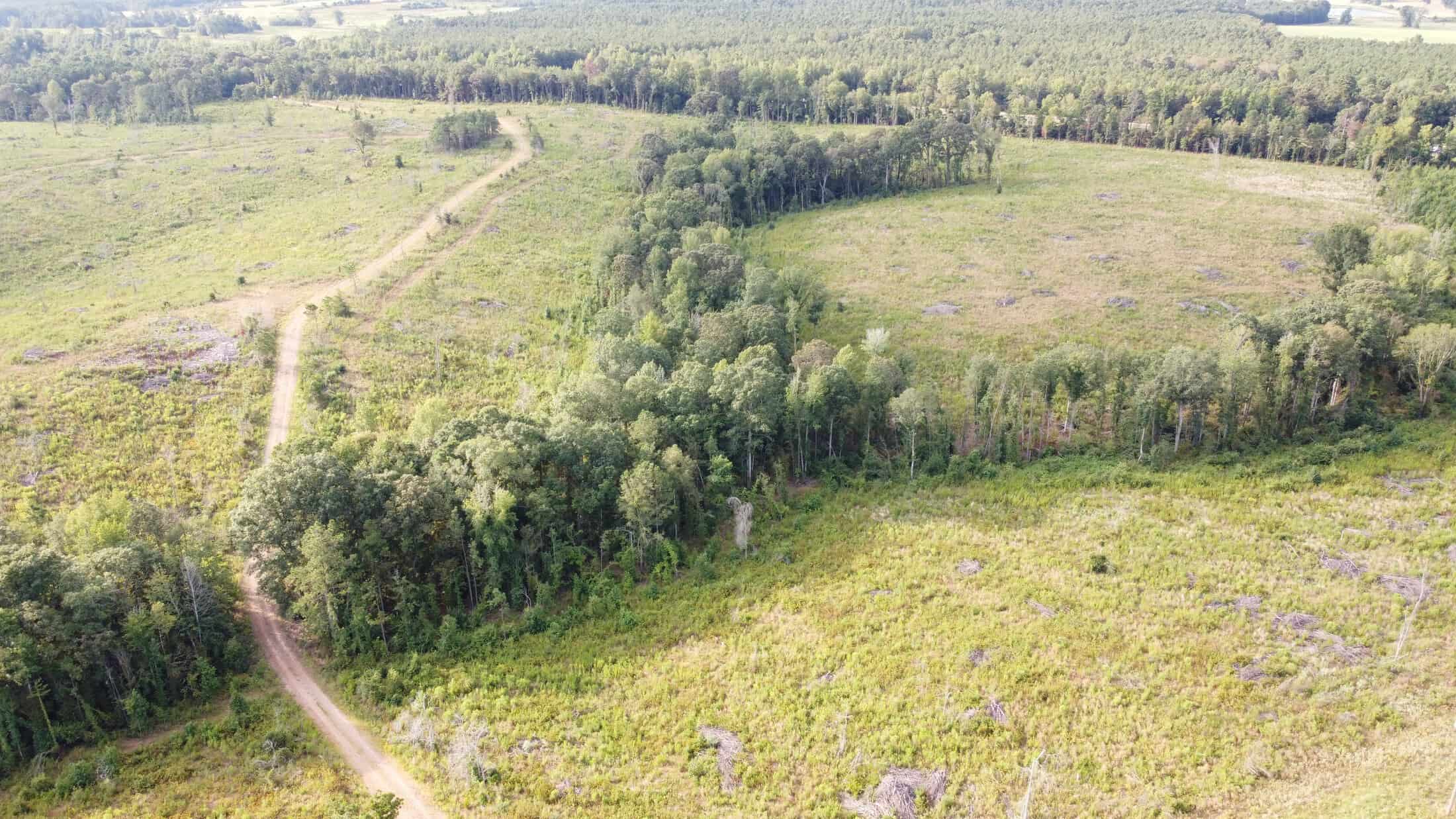700 Acres Land for Sale Lincoln Parish, LA