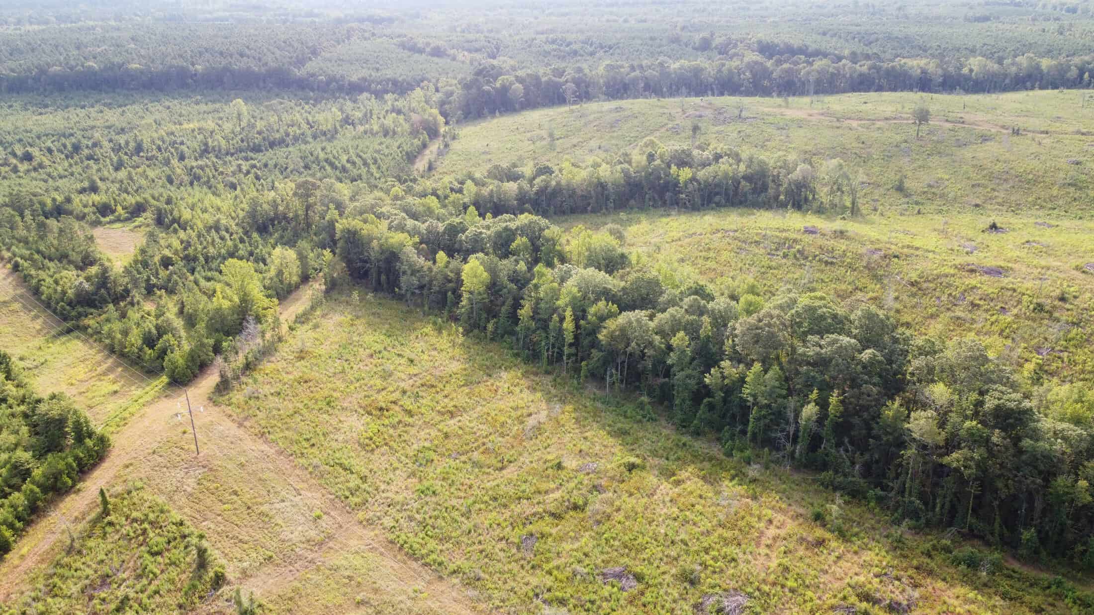 700 Acres Land for Sale Lincoln Parish, LA