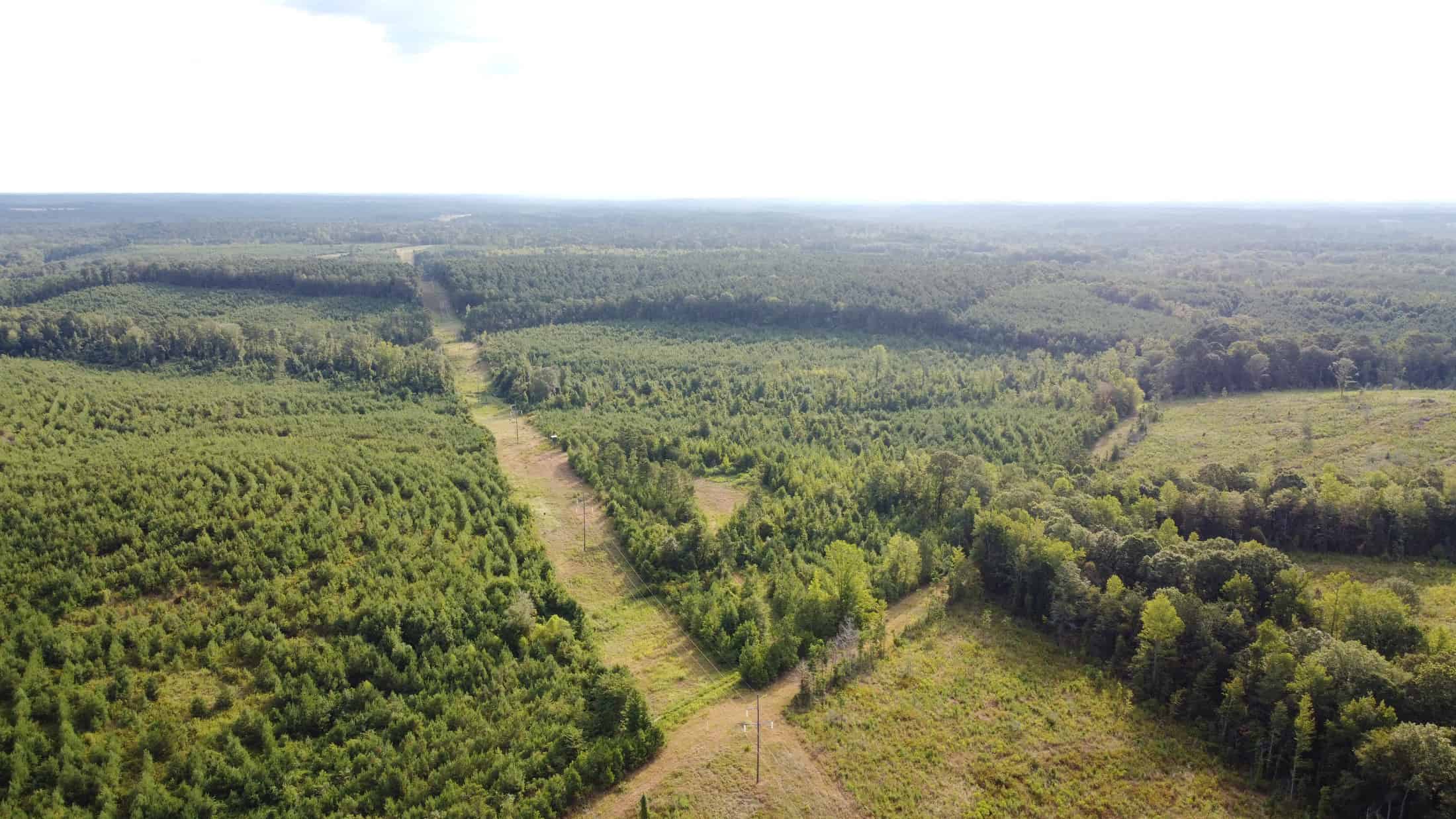 700 Acres Land for Sale Lincoln Parish, LA