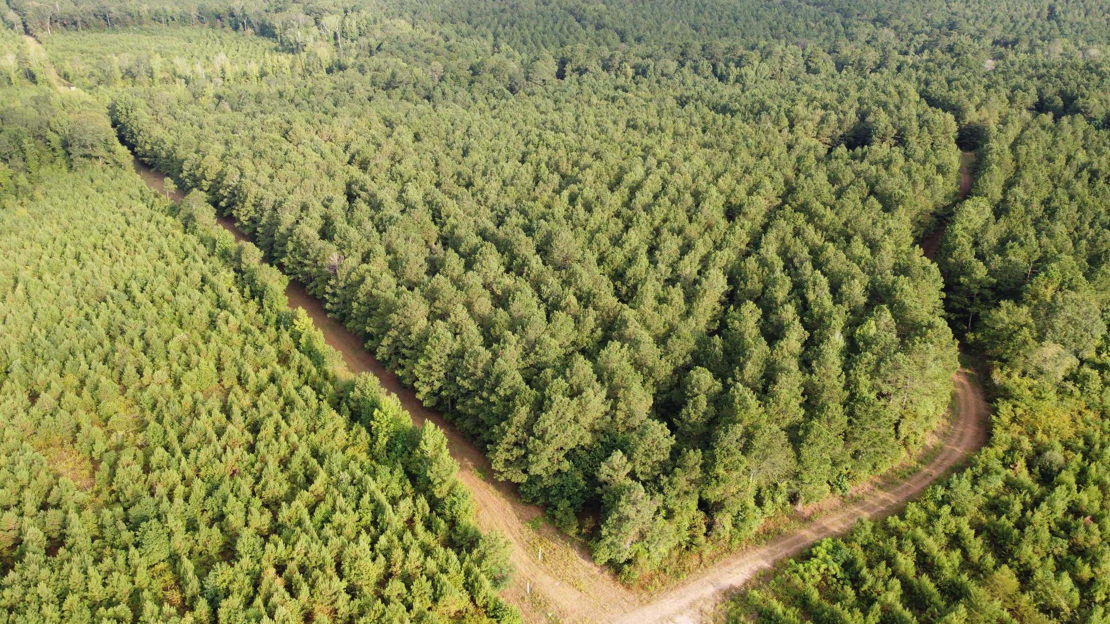 700 Acres Land for Sale Lincoln Parish, LA