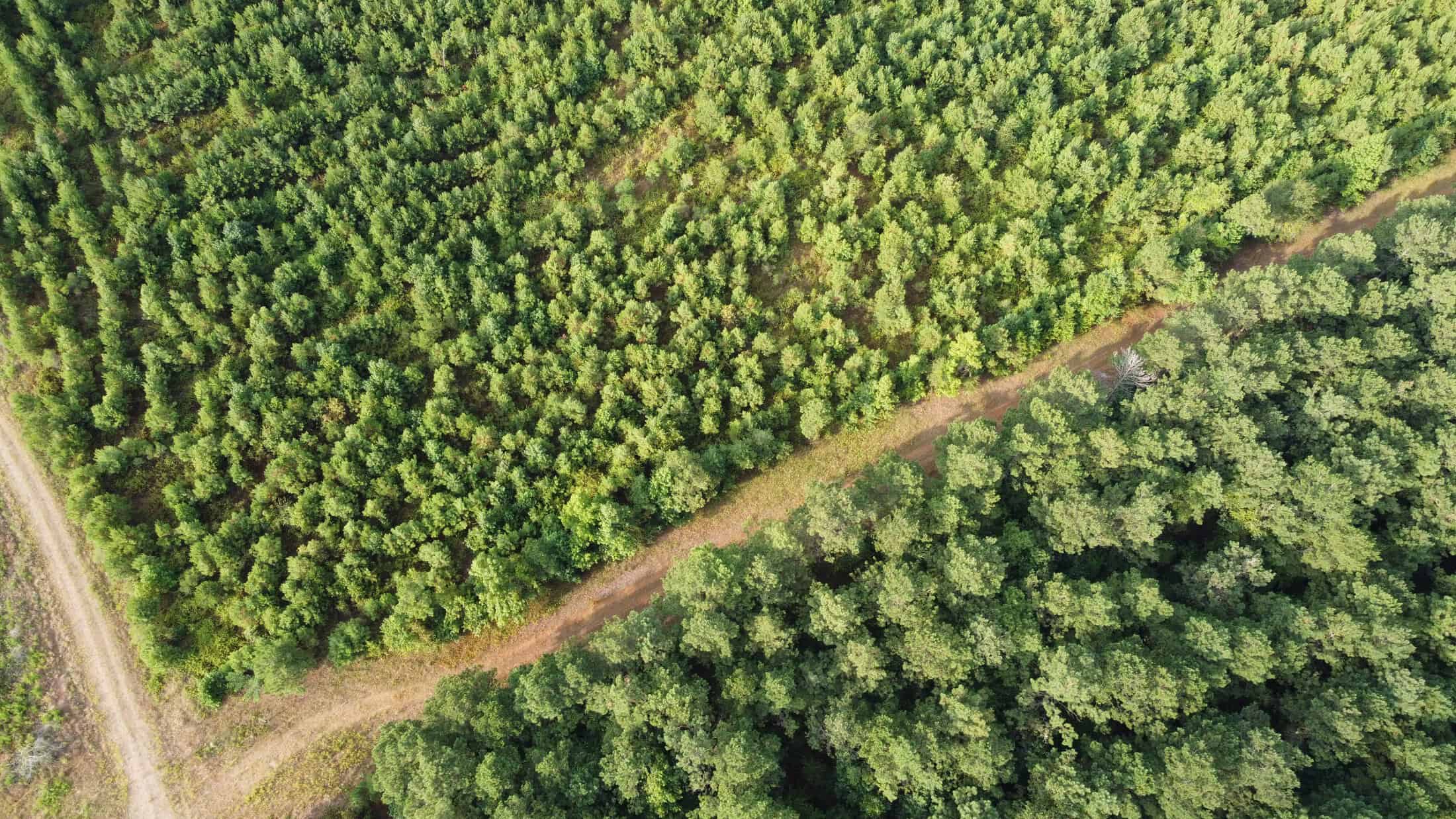700 Acres Land for Sale Lincoln Parish, LA