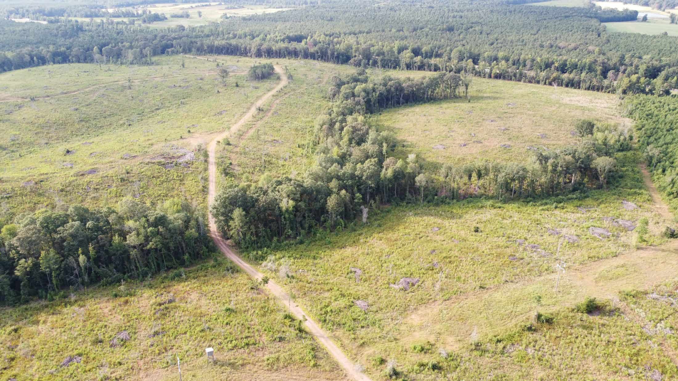 700 Acres Land for Sale Lincoln Parish, LA