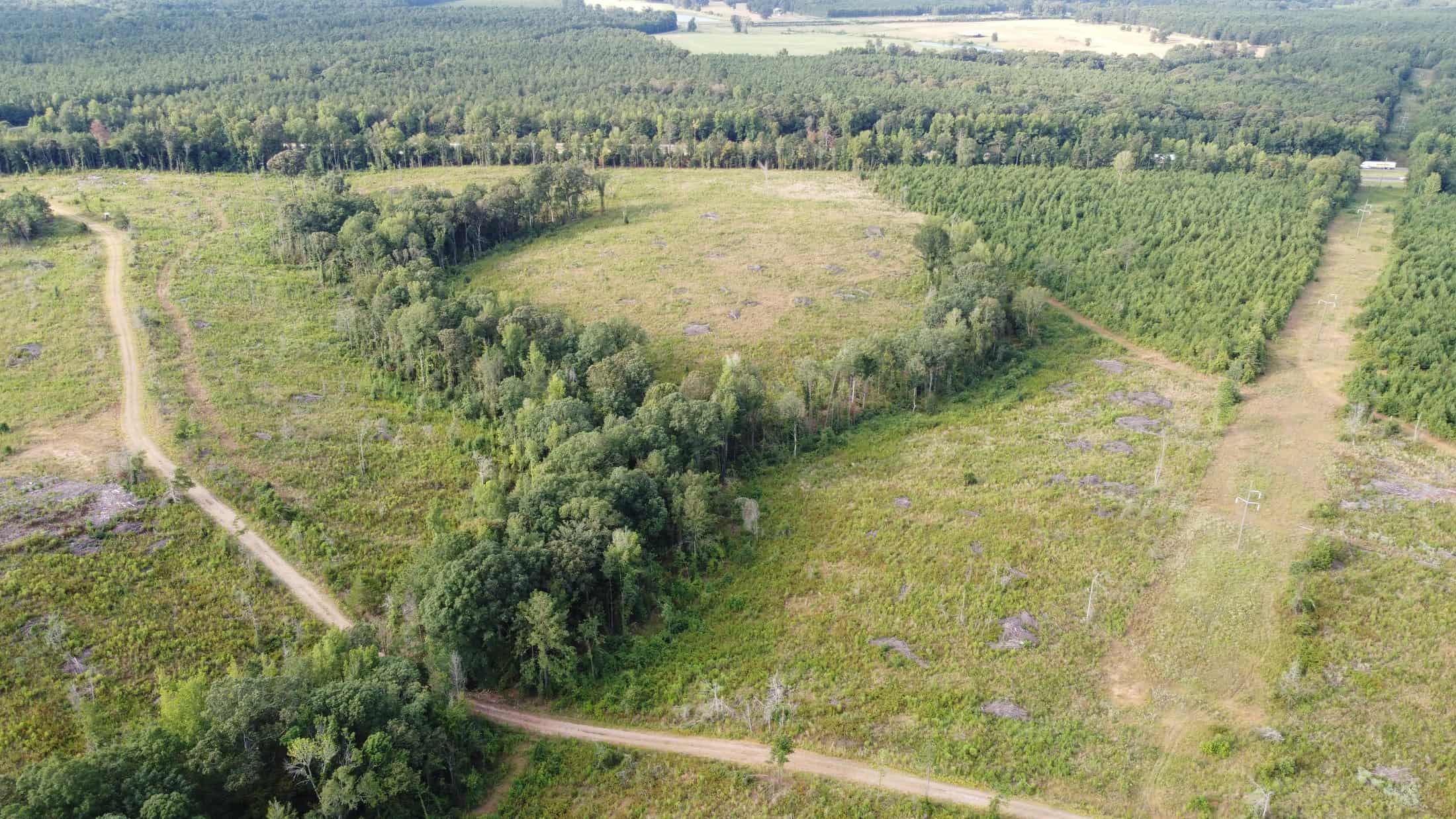 700 Acres Land for Sale Lincoln Parish, LA