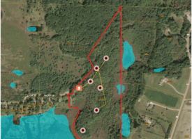 Recreational Hunting Land on Hatch Lake in Iola – Hatch Lake