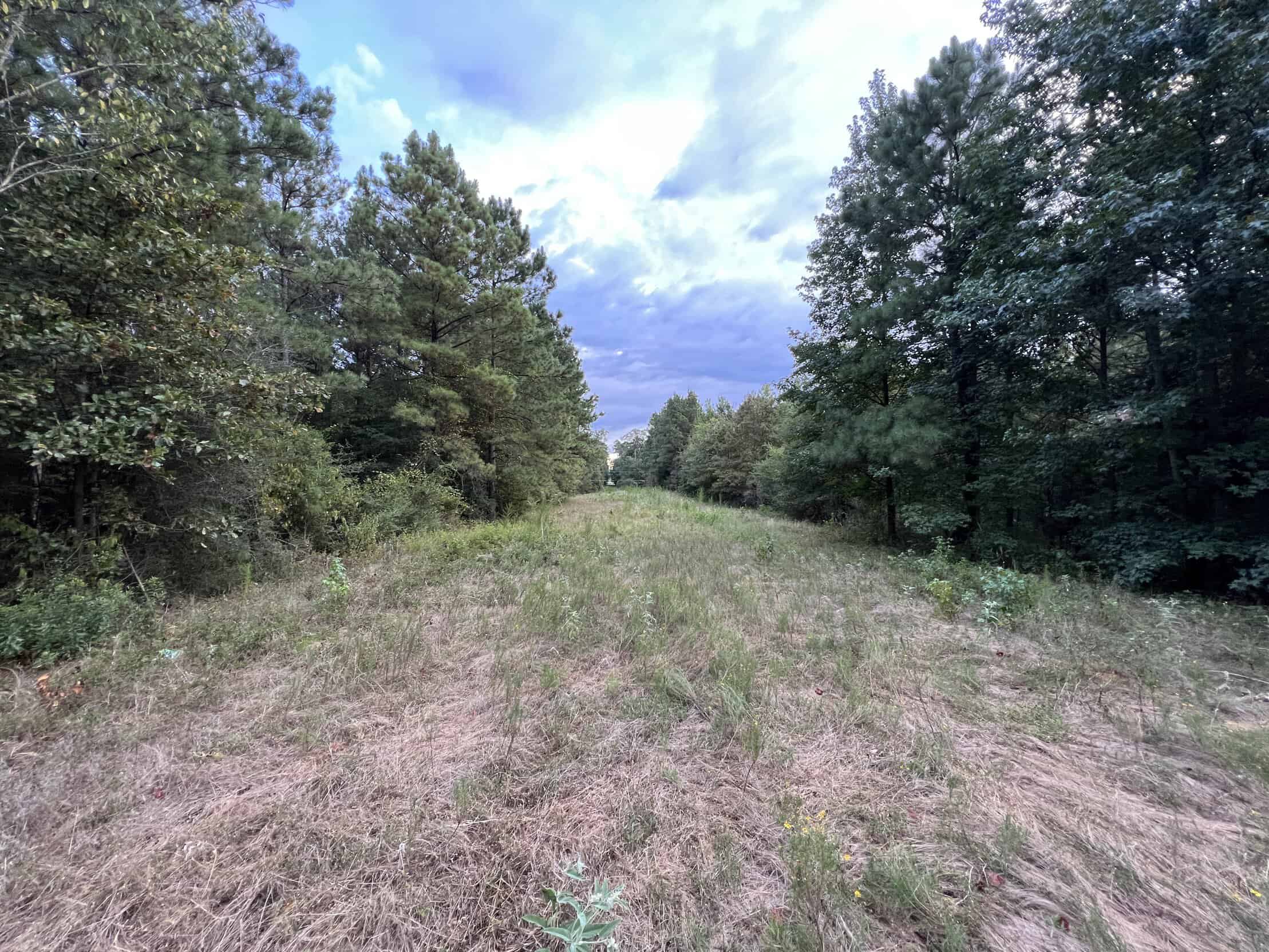 700 Acres Land for Sale Lincoln Parish, LA