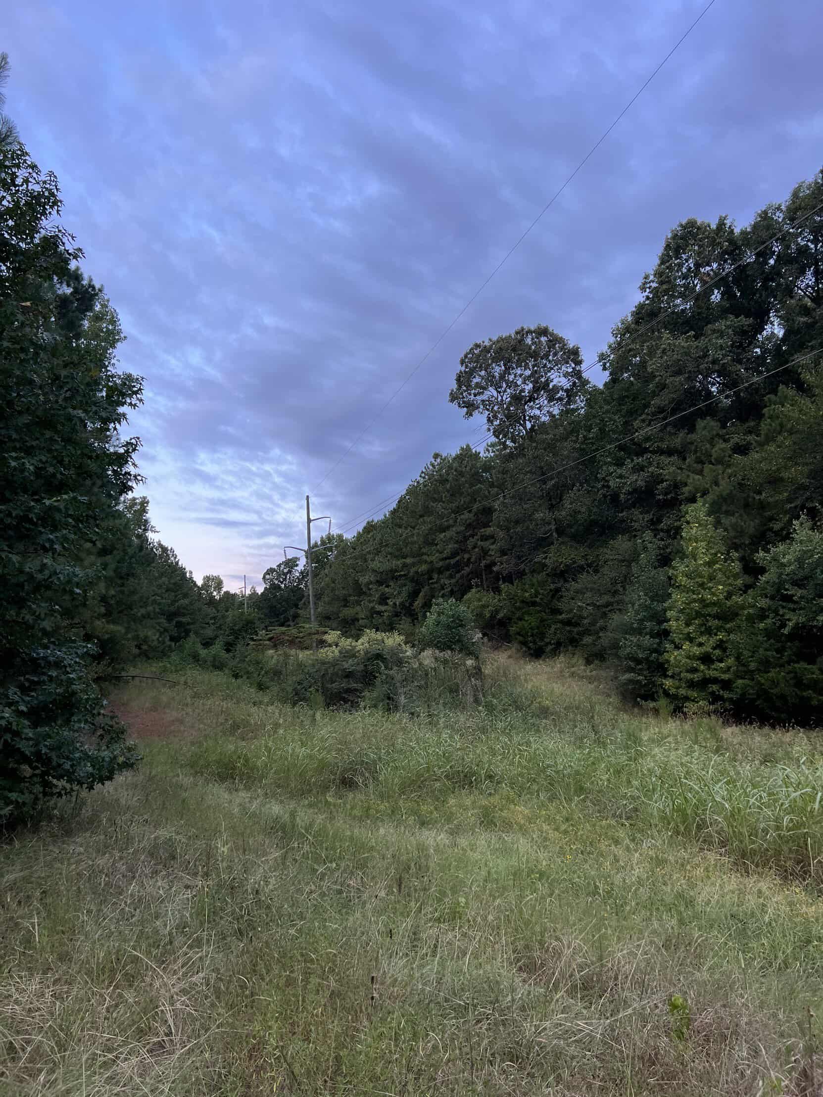 700 Acres Land for Sale Lincoln Parish, LA
